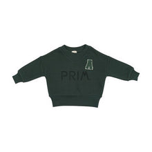 Load image into Gallery viewer, LIL LEGS APPLIQUE V SWEATSHIRT

