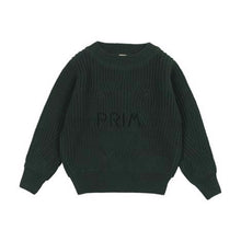 Load image into Gallery viewer, ANALOGIE CUNKY KNIT SWEATER
