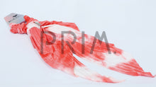 Load image into Gallery viewer, DACEE TIE-DYE SCRUNCHY WITH TAILS
