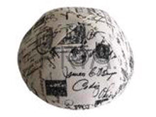 Load image into Gallery viewer, IKIPPAH POSTAGE
