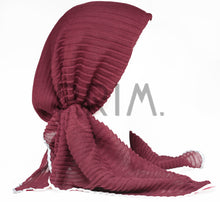 Load image into Gallery viewer, SG WRINKLE PRETIED LUREX BORDER
