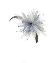 Load image into Gallery viewer, MULTI COLORED HORSEHAIR PUFF HEADBAND
