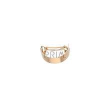 Load image into Gallery viewer, HEIRLOOMS MATTE BAR CLIP
