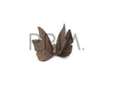 Load image into Gallery viewer, LARGE SPARKLE BUTTERFLY CLIP
