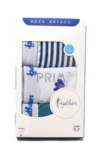 Load image into Gallery viewer, FEATHERS BOYS BOTANY PRINT 3 PACK BRIEFS
